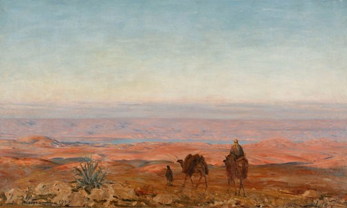 Camels in the Judean Desert